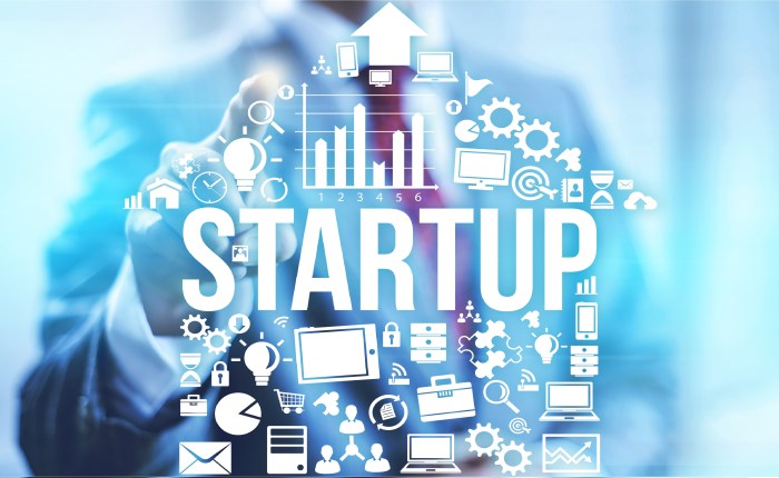 The Indian Entrepreneur