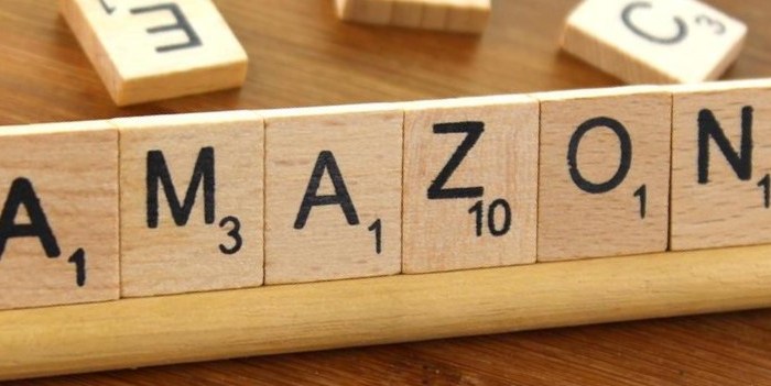 Love You Amazon- A Song Dedicated to the Largest Bookstore in the&nbsp;World